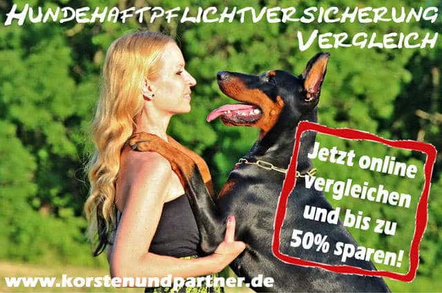 Hundehaftpflichtversicherung Vergleich