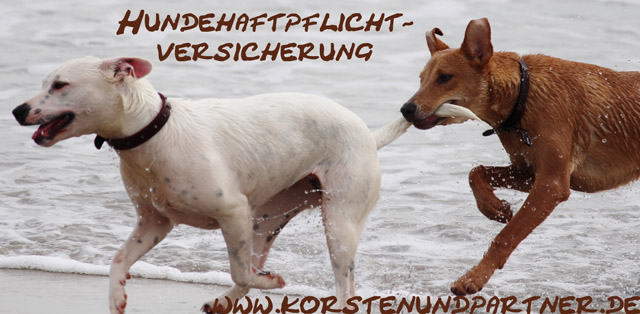 Hundehaftpflichtversicherung www.korstenundpartner.de